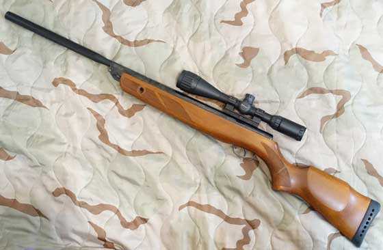 The 2250 Gun: A Game-Changer or a Source of Frustration?