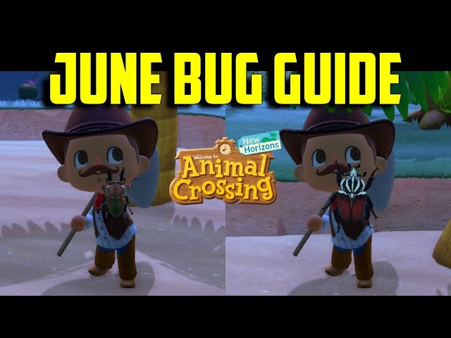 Animal Crossing June Bugs: How to Catch Them and What to Expect