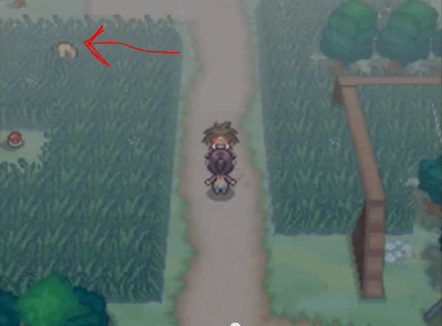 Best Place to Audino Grind in Black