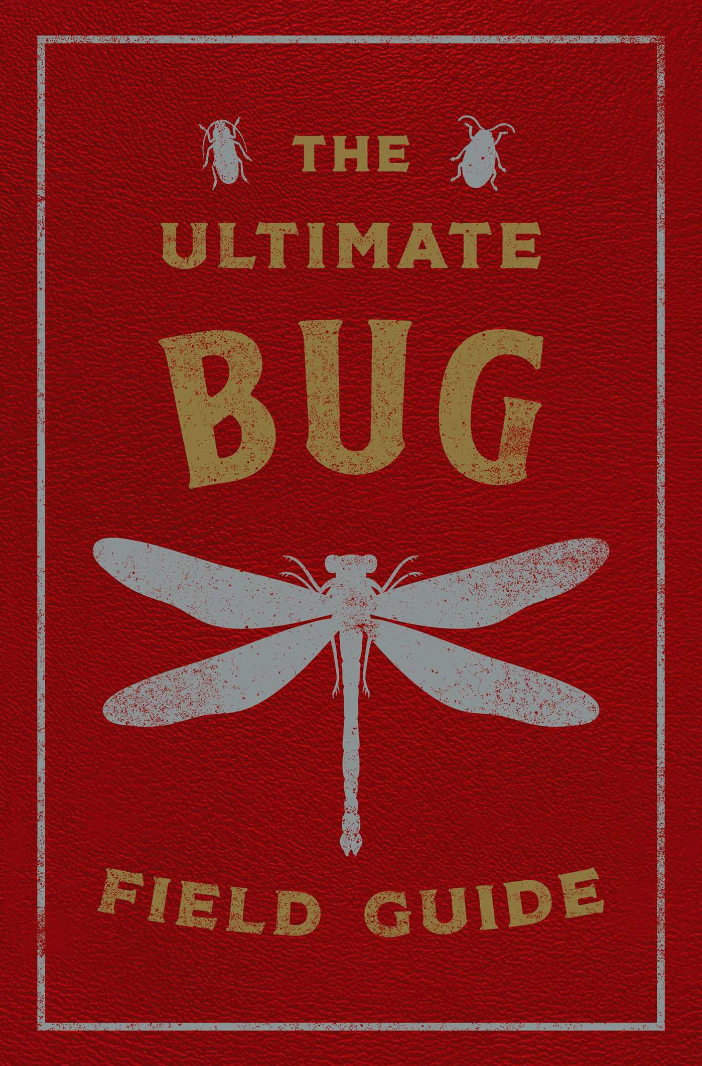 Ancient Feystone: A Guide to Overcoming Frustrating Bugs and Enhancing Your Experience