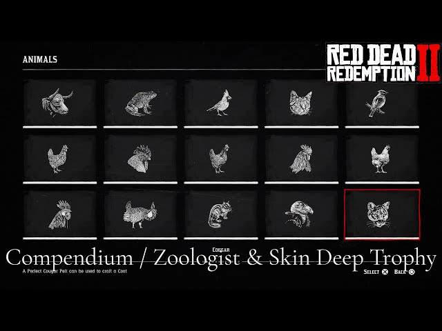 Animal Compendium RDR2: A Complete Guide to the Wild World of Red Dead Redemption 2