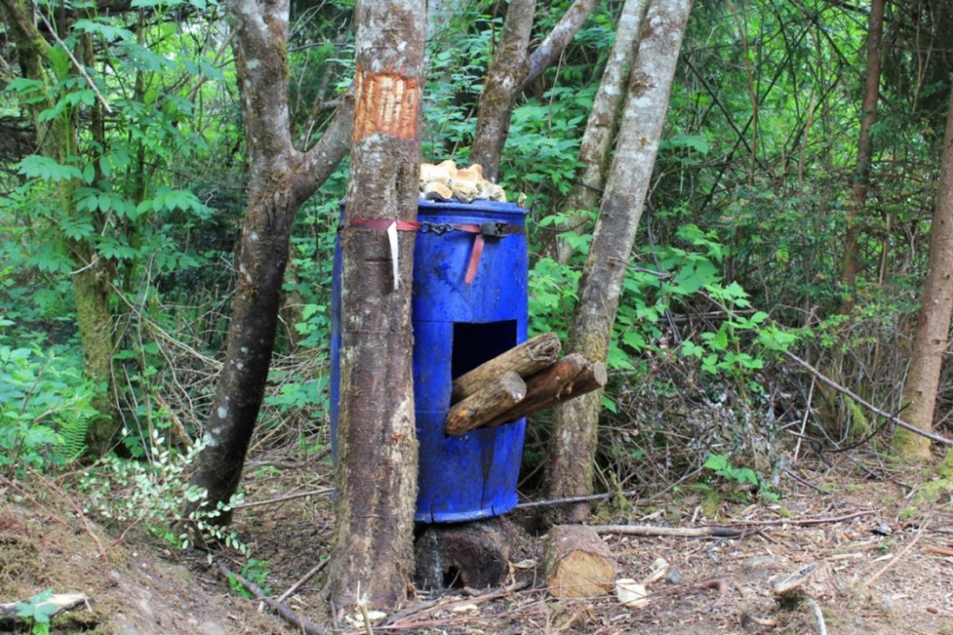Bear Bait Barrel Hole Size: A Simple Guide for Gamers