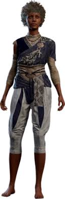 Baldur's Gate 3 Drunken Cloth: What is It and How to Fix It?