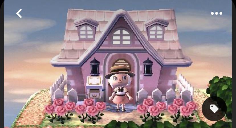 Animal Crossing New Leaf House Exteriors: How to Make Your Dream Home Come True