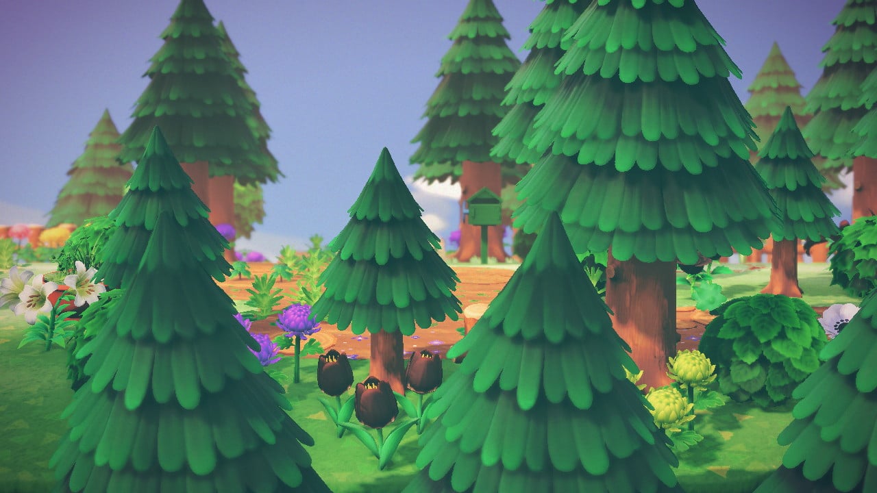 Animal Crossing Cedar Tree: What’s the Deal with This Tree?