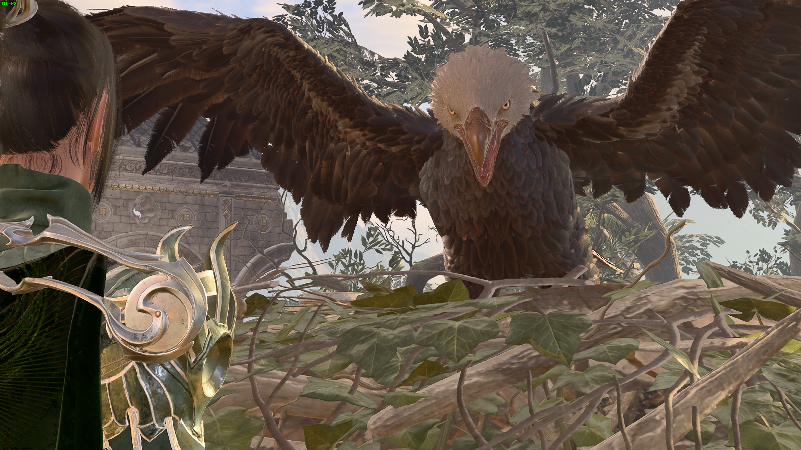 Baldur's Gate 3 Ancient Giant Eagle: What Is It and How to Tame It?