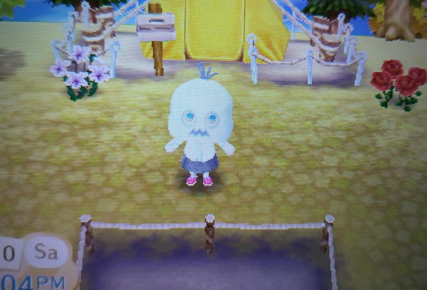 Animal Crossing New Leaf House: How to Build Your Dream Home and Solve Common Problems
