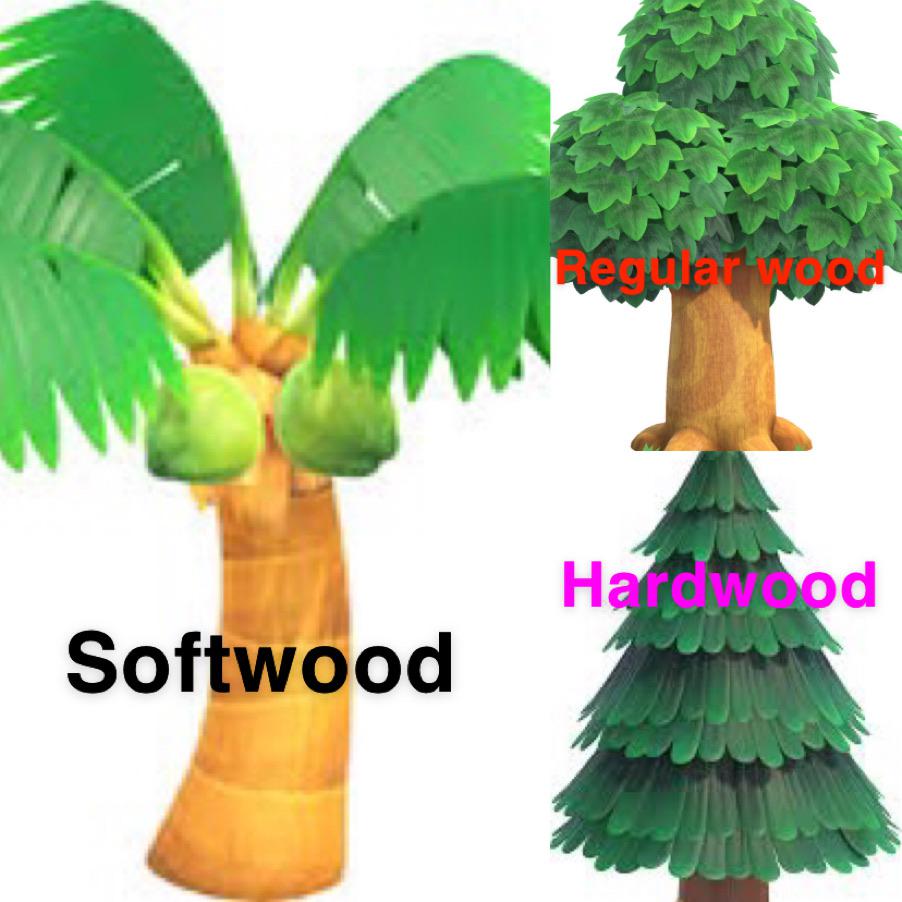 Animal Crossing Cedar Tree: What’s the Deal with This Tree?