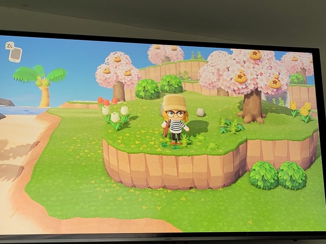 ACNH Money Tree Island: The Ultimate Guide for Every Player