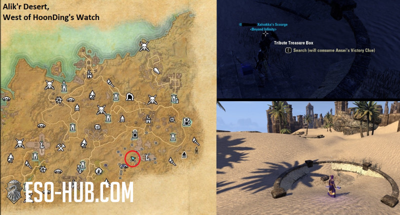 All You Need to Know About Anseis Victory Clue