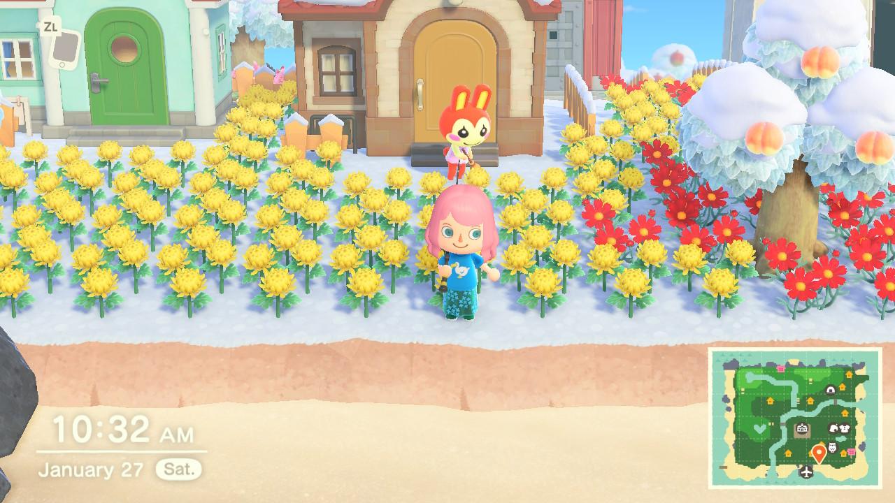 ACNH Counter: How to Tackle the Most Annoying Problem in Animal Crossing