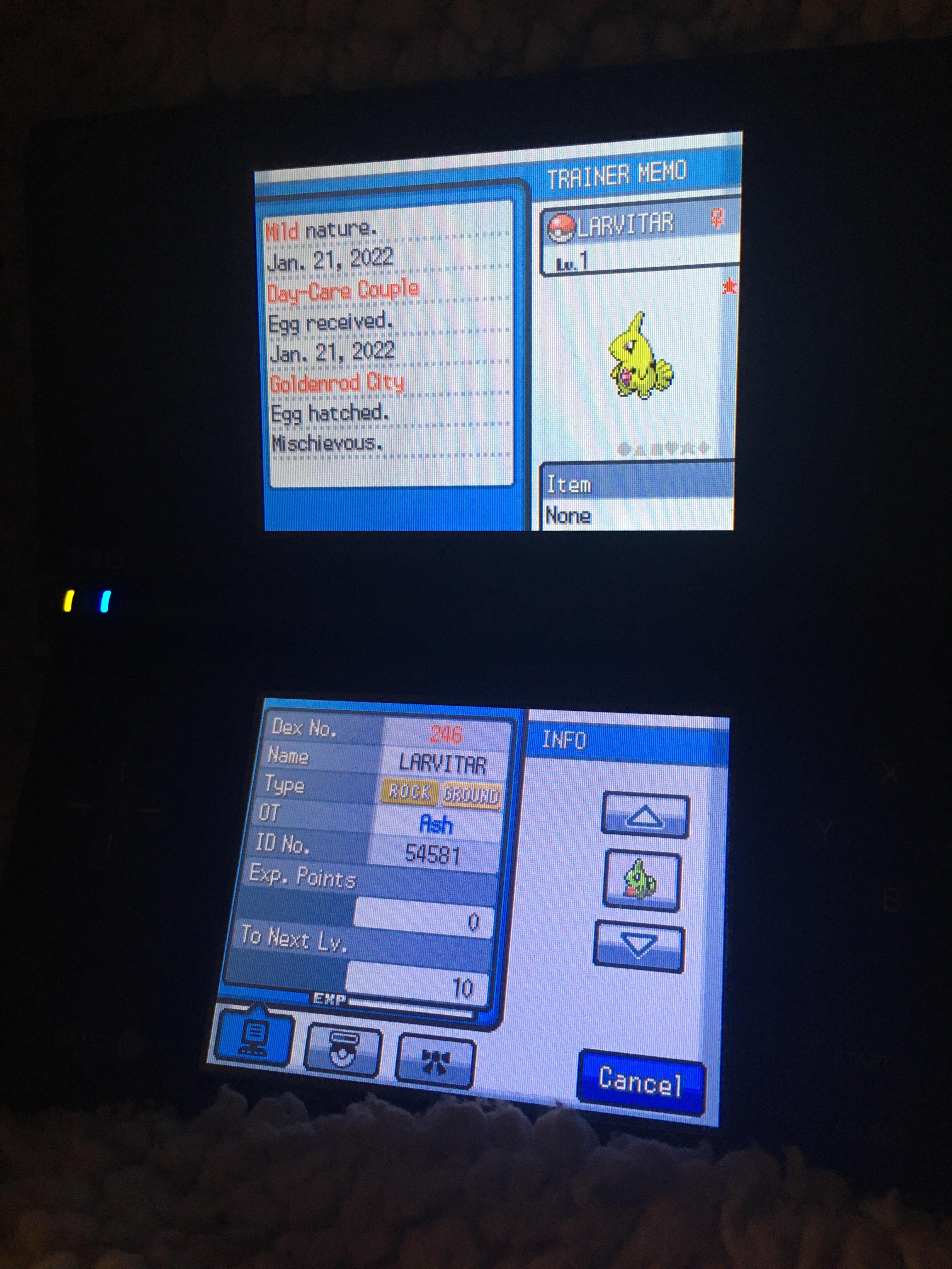 Best EVs for Tyranitar: A Complete Guide for Trainers