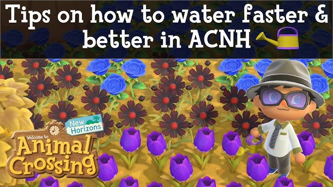 ACNH Water Pump: A Guide to Fixing Your Aquatic Problems