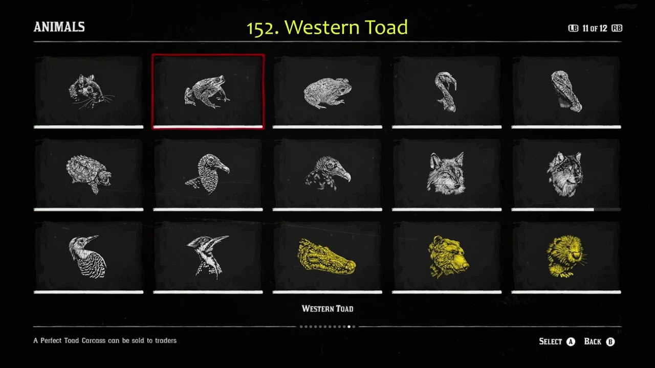 Animal Compendium RDR2: A Complete Guide to the Wild World of Red Dead Redemption 2