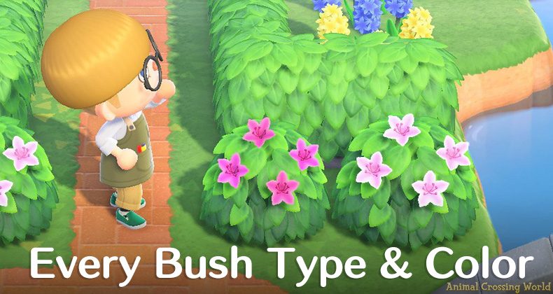 Azalea Bush ACNL: The Beautiful Yet Baffling Mystery