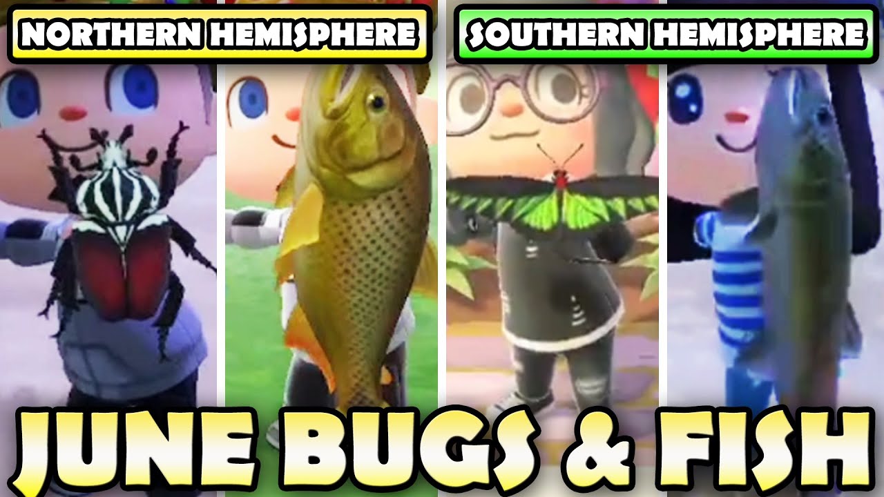 Animal Crossing June Bugs: How to Catch Them and What to Expect