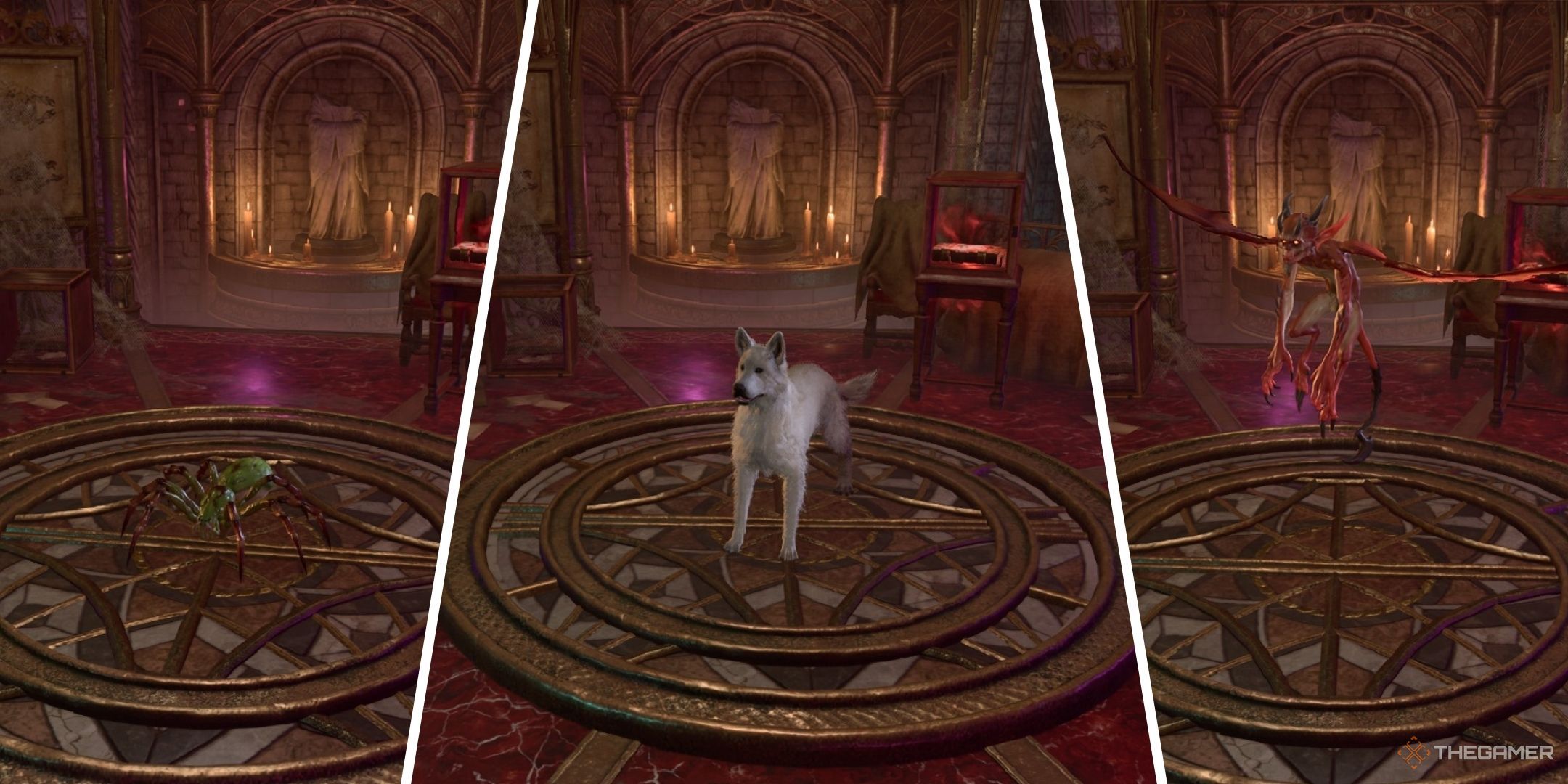 BG3 Best Familiar: The Ultimate Guide to Choosing Your Magical Sidekick