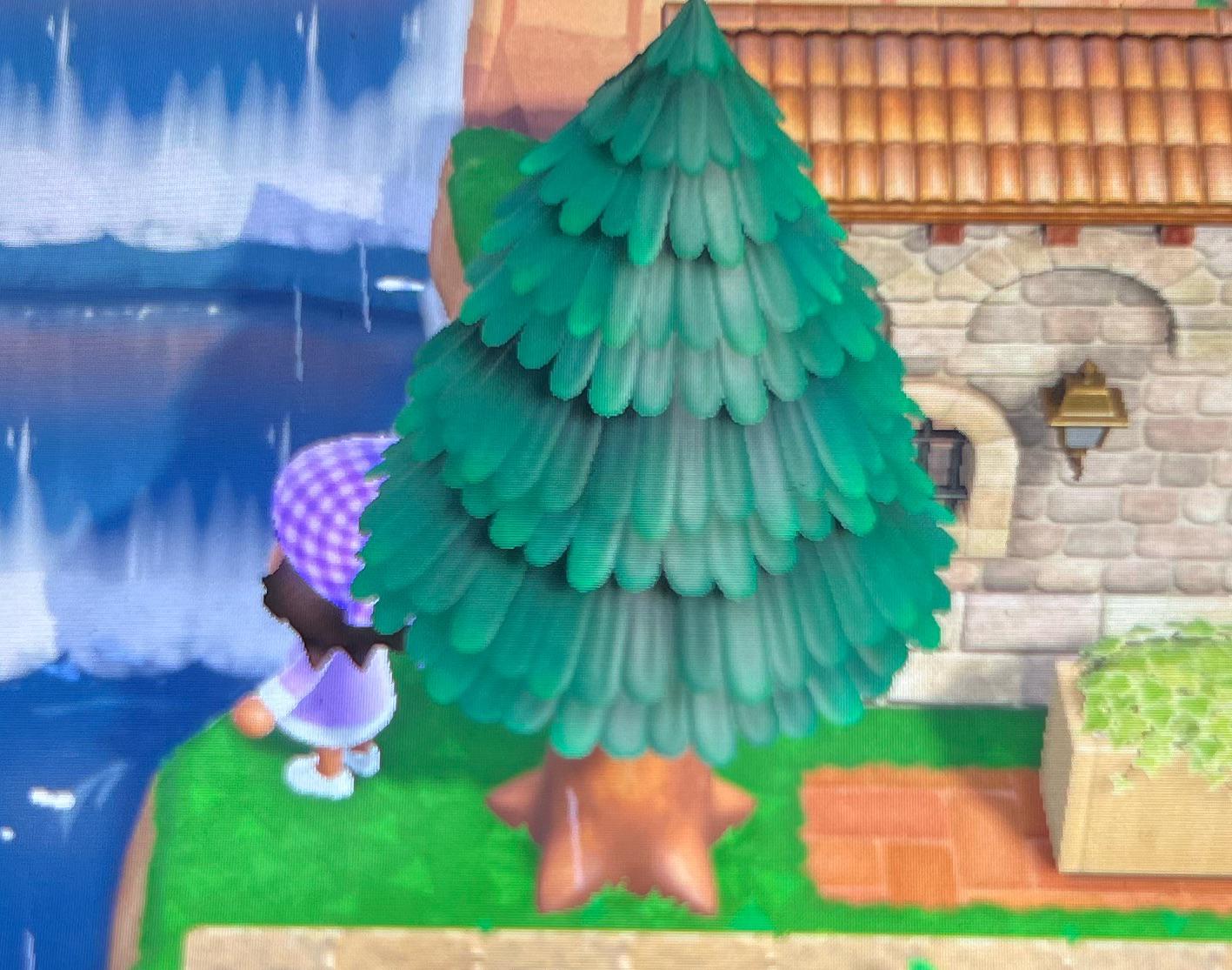 ACNH Cedar Tree: The Mystery Behind This Beautiful Tree