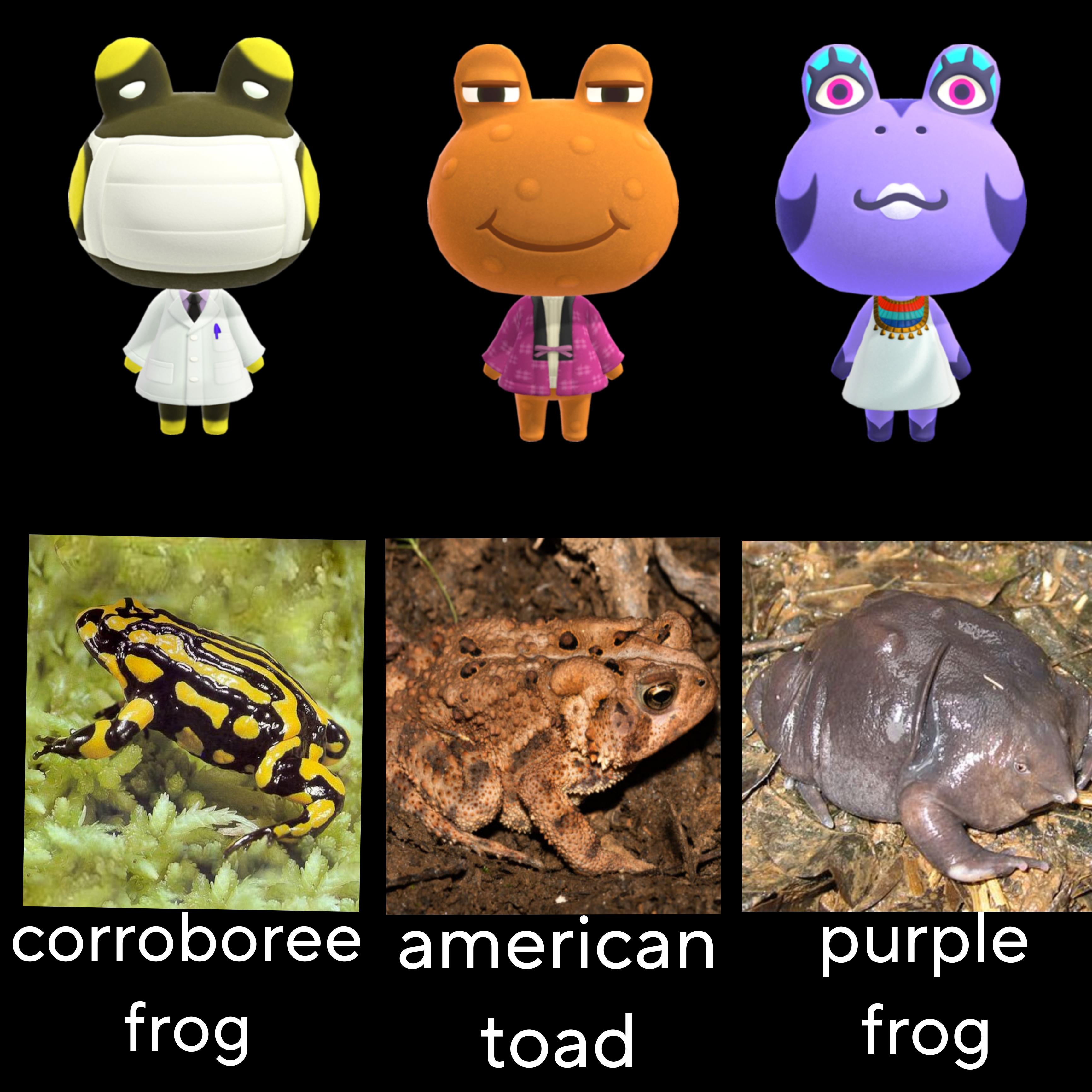 Animal Crossing Frog Villagers: A Guide to Your Kooky Amphibian Neighbors