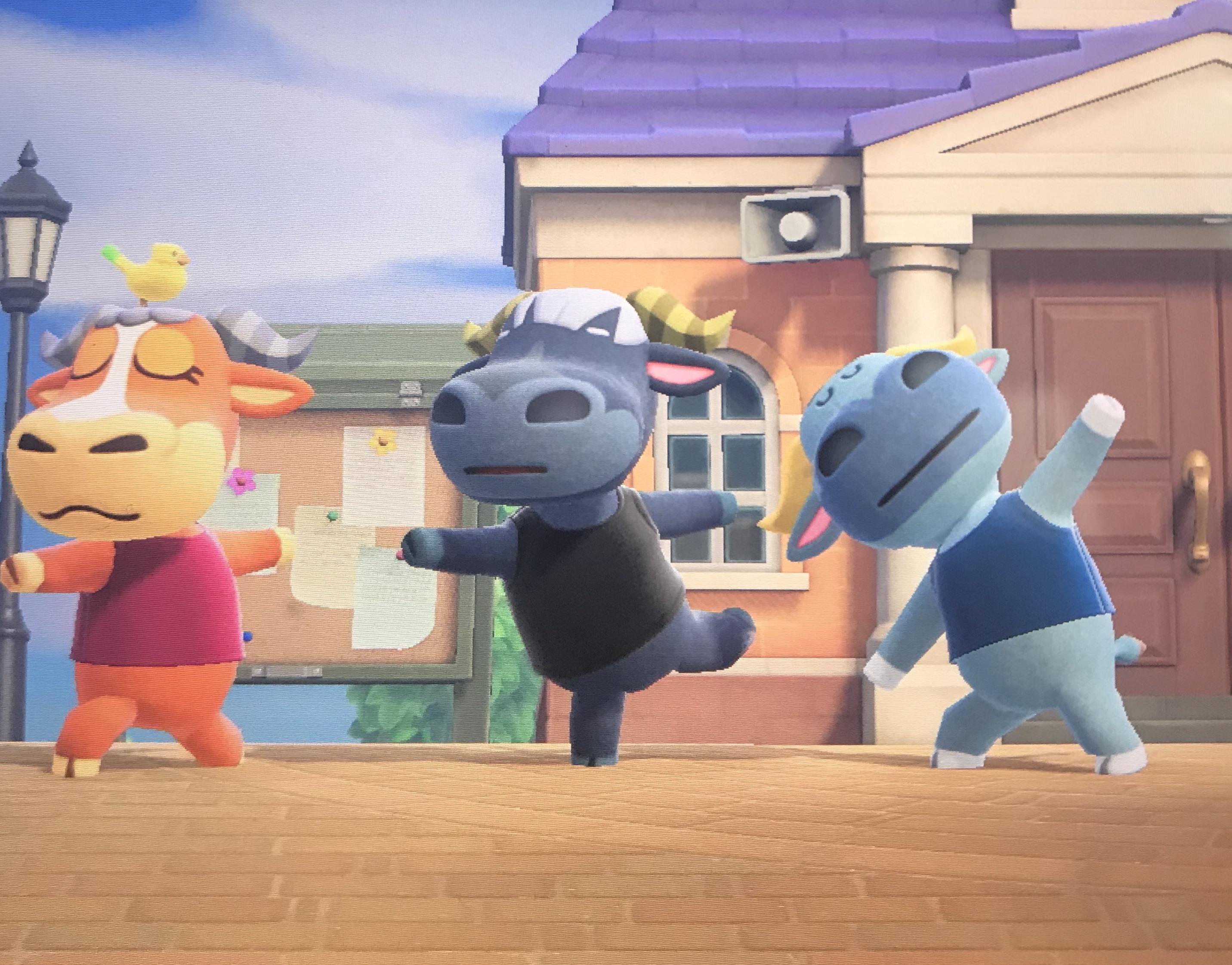 Animal Crossing Bull: The Troubles and Solutions Every Player Should Know