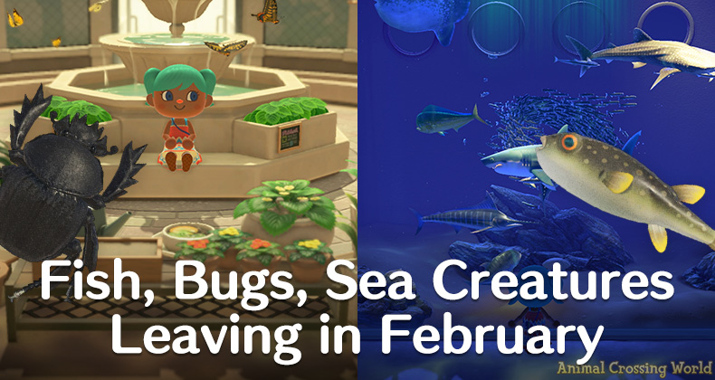 ACNH Sea Creatures February: What's In The Ocean This Month?