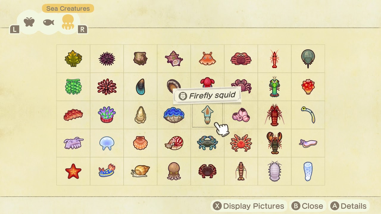Animal Crossing January Sea Creatures: The Complete Guide