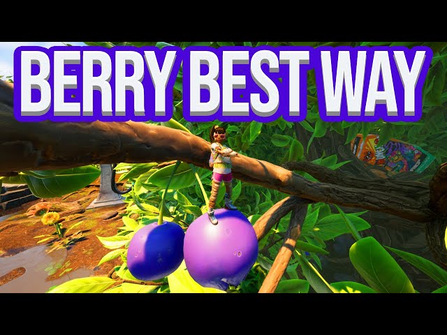 Everything You Need to Know About Berry Leather in Games