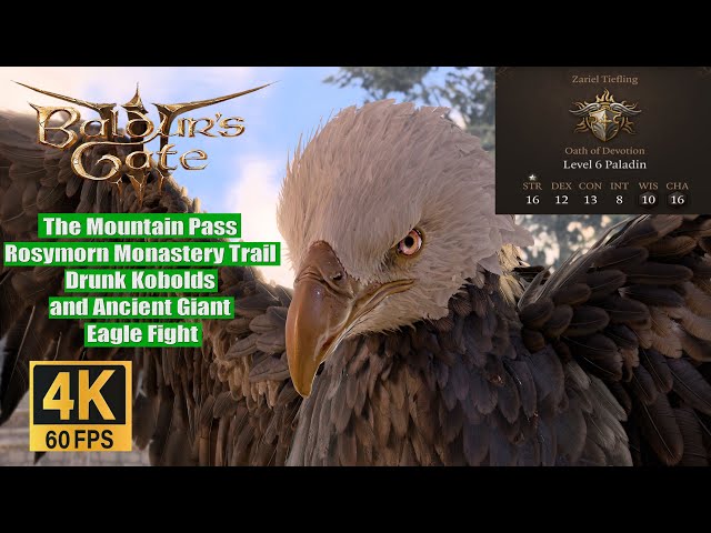 Baldur's Gate 3 Ancient Giant Eagle: What Is It and How to Tame It?