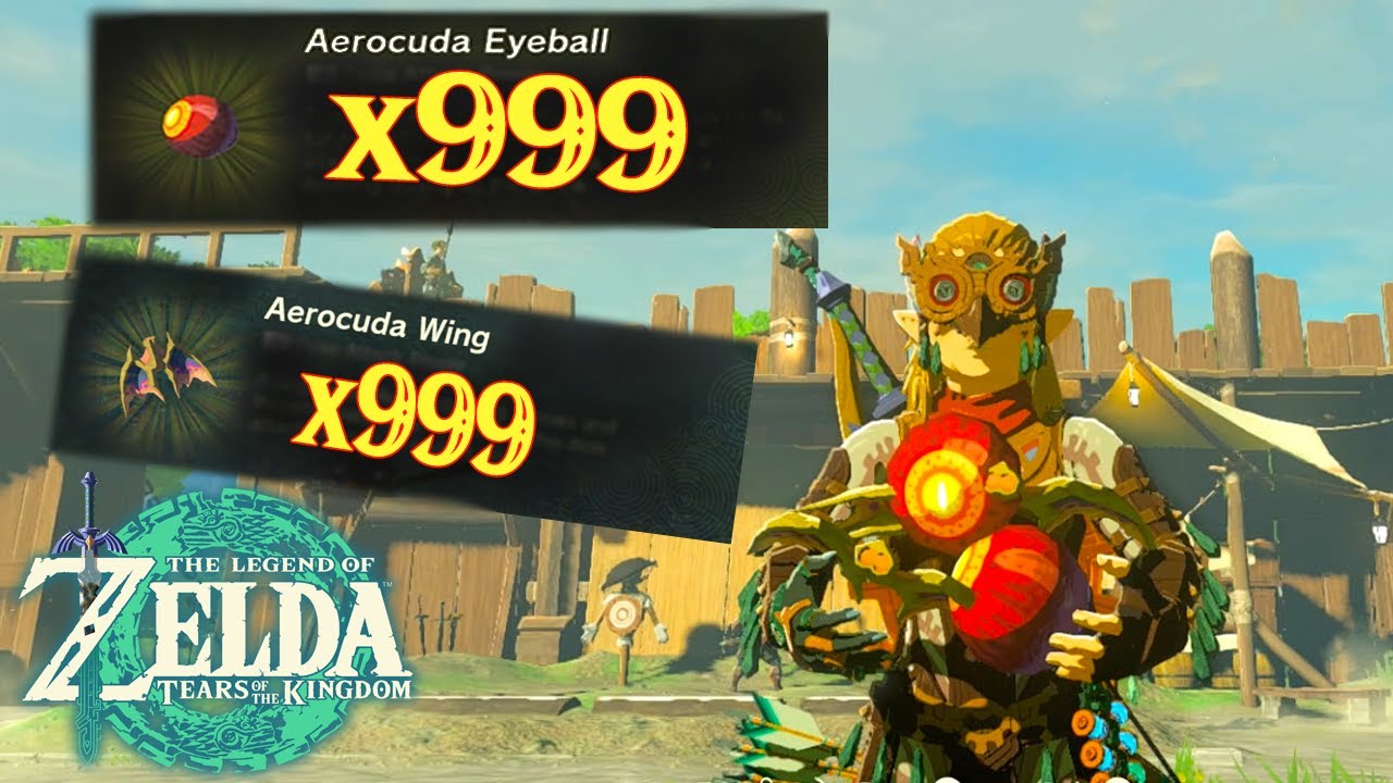 Aerocuda Eyeball: The Mystery That’s Giving Players a Headache