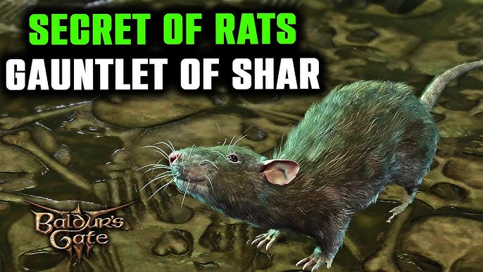 Baldur's Gate 3 Rats: A Guide to Understanding and Solving the Problem