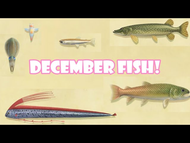 Animal Crossing Sea Creatures December: What to Catch and Why It’s So Exciting