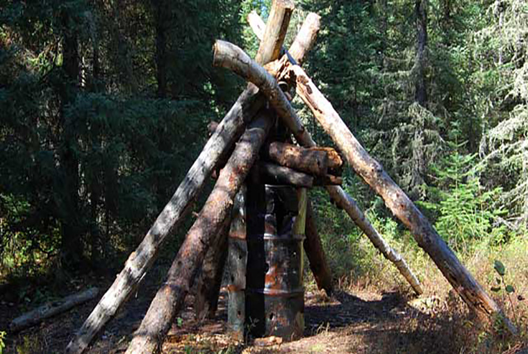 Bear Bait Barrel Hole Size: A Simple Guide for Gamers