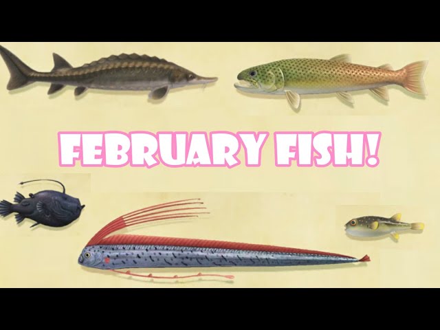 Animal Crossing Fish February: How to Catch All the Fish in the Cold Month