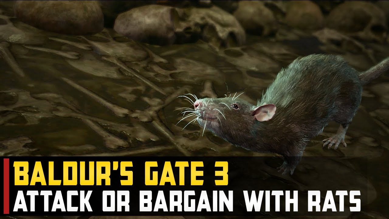Baldur's Gate 3 Rats: A Guide to Understanding and Solving the Problem