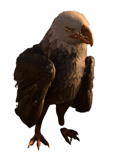 Baldur's Gate 3 Ancient Giant Eagle: What Is It and How to Tame It?