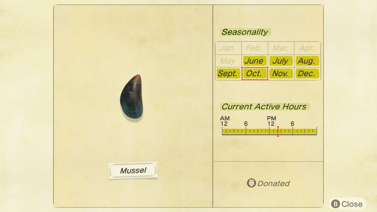 ACNH Mussel: What’s the Deal with This Little Shellfish?
