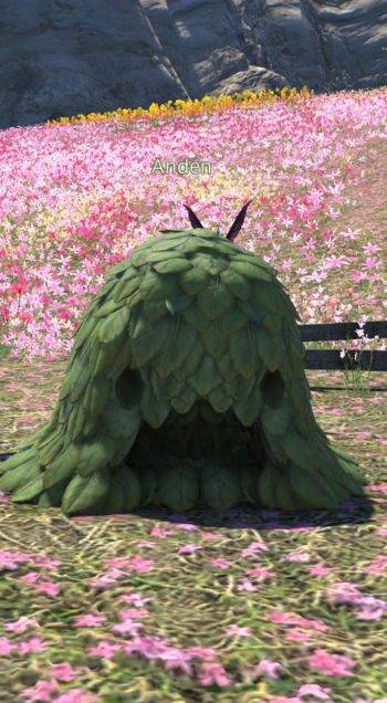 Understanding Anden FFXIV: Problems and Solutions for Players