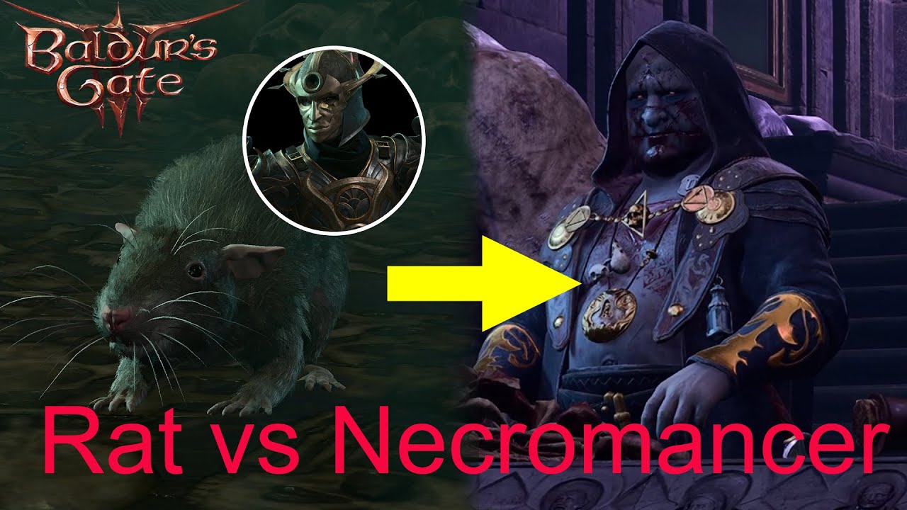 BG3 Dark Justiciar Rat: A Troublesome Little Problem