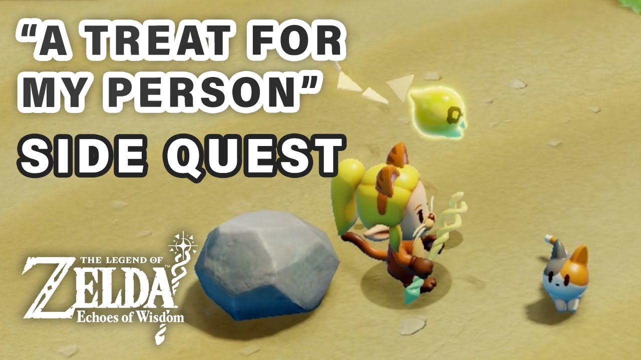 A Treat for My Person: Echoes of Wisdom - Game Issues and How to Fix Them